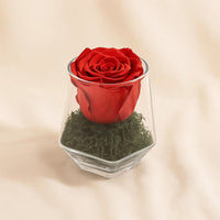 Red Forever Rose Vase 