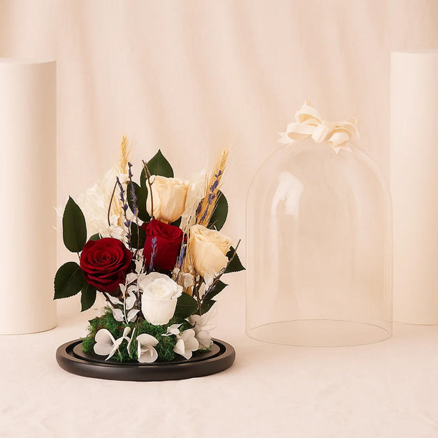 Preserved Dome Roses – Red & White