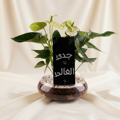 فازة نبتة انتريوم هدية لجدي