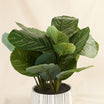 Artificial Calathea Plant