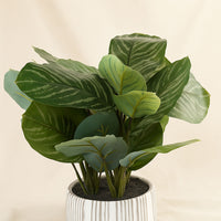 Artificial Calathea Plant