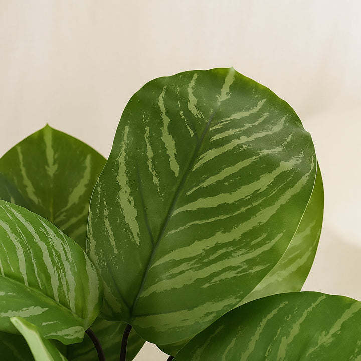 Artificial Calathea Plant