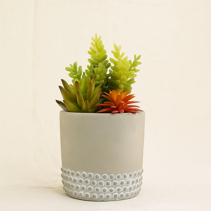 Artificial Colorful Succulent Garden