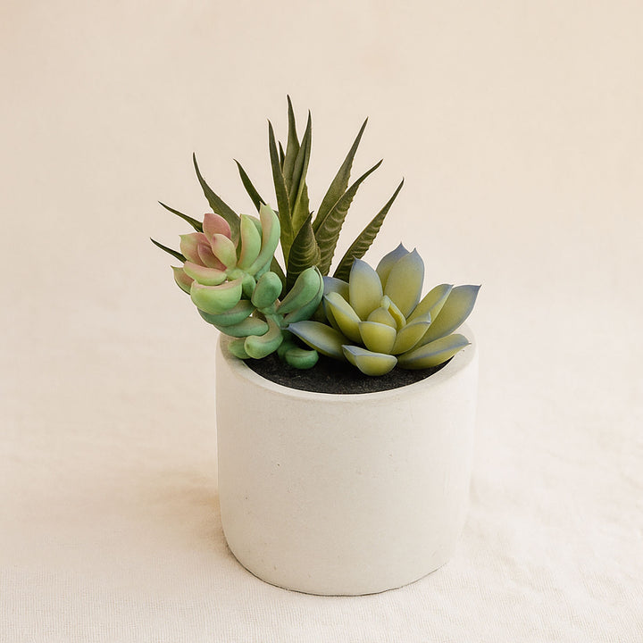 Artificial Green Succulent Garden