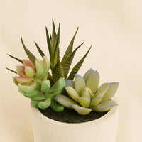 Artificial Green Succulent Garden