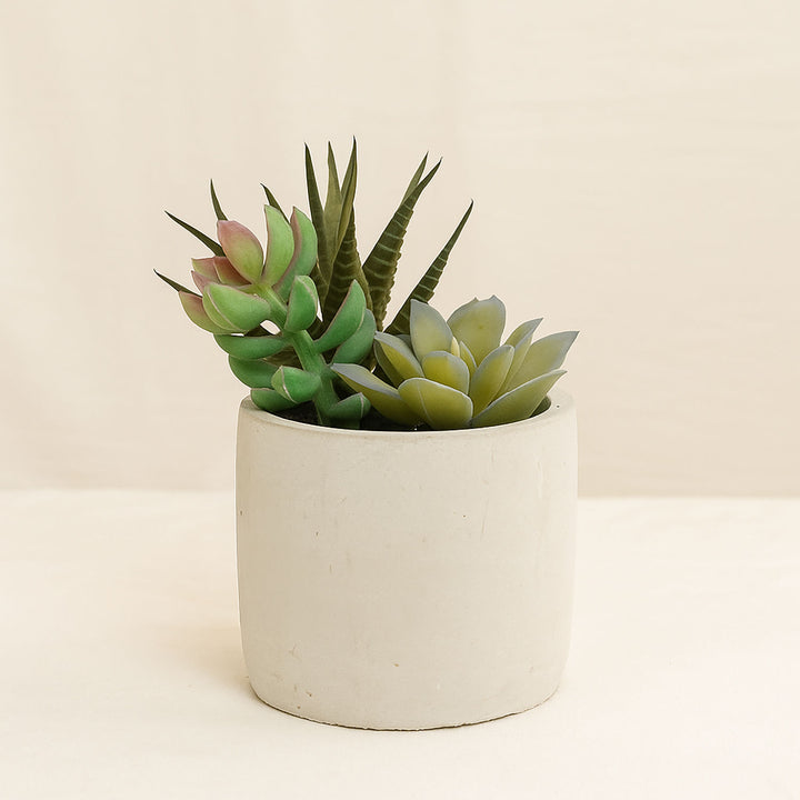Artificial Green Succulent Garden