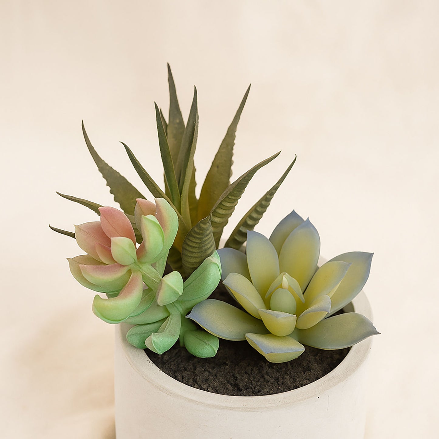 Artificial Green Succulent Set