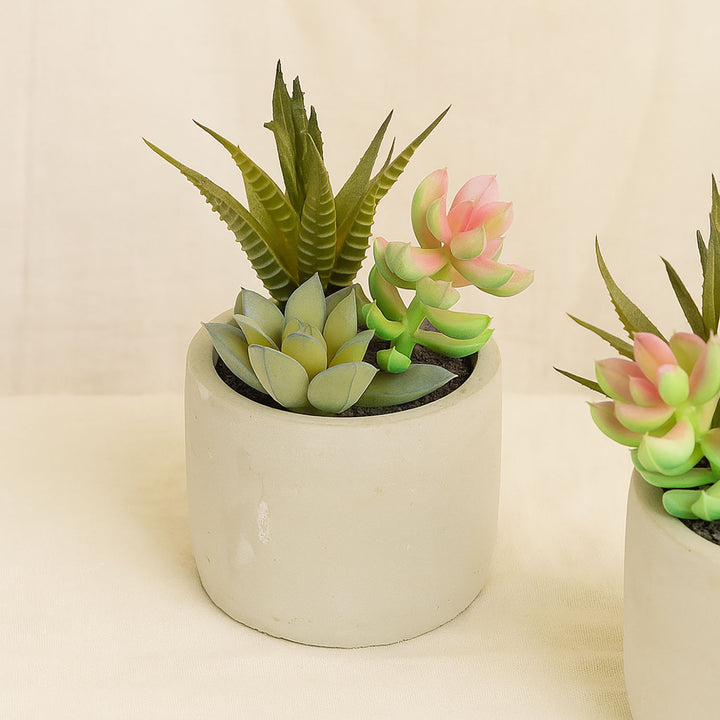 Artificial Green Succulent Set