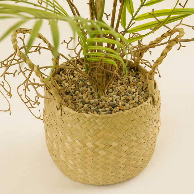 Artificial Kentia Palm Plant