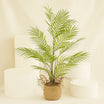 Artificial Kentia Palm Plant