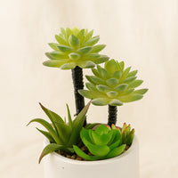  Artificial Succulent White Geometric Pot