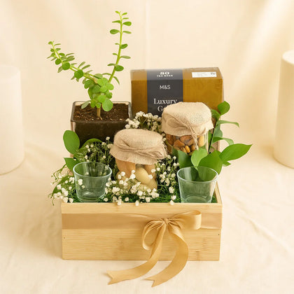 M&S Premium Tea n Jade Plant Hamper 