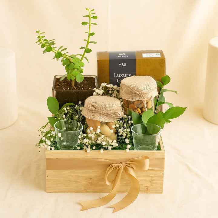 M&S Premium Tea n Jade Plant Hamper 