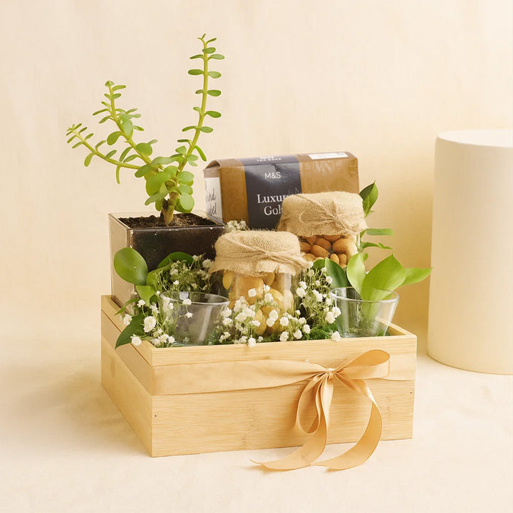 M&S Premium Tea n Jade Plant Hamper 