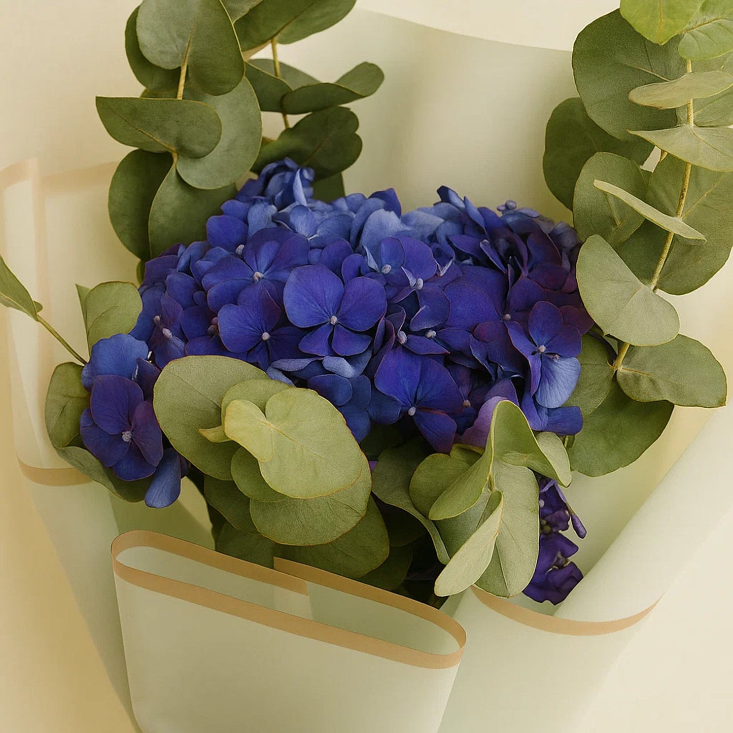 شوكولاتة كانزل دايموند و بوكيه هيدرانجيا