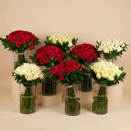 طقم ورود عيد الحب | 8 مزهريات