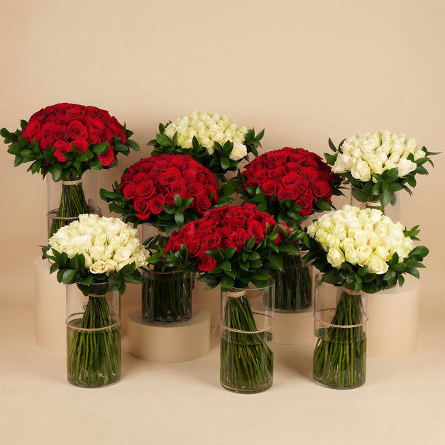 طقم ورود عيد الحب | 8 مزهريات