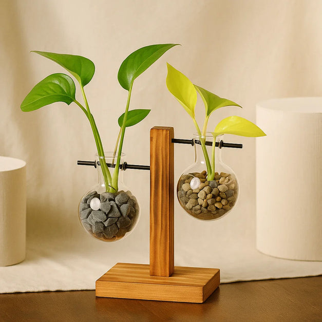 Botanical Antique Pothos Plants