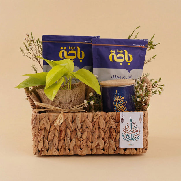 Premium Treats & Pothos Plant Ramadan Basket