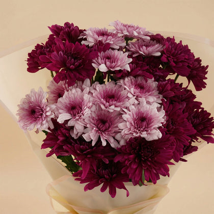 طقم هدايا باقة ورود الأقحوان