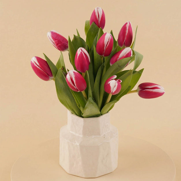 مزهرية عبير التوليب الساحرة