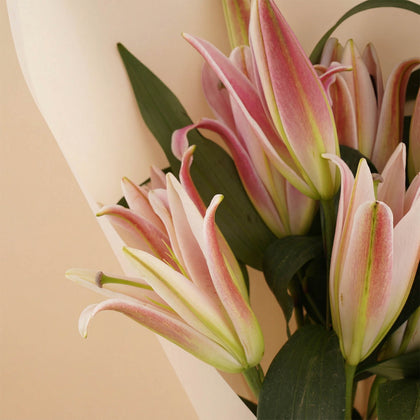 Pink Lilies Flower  Bouquet