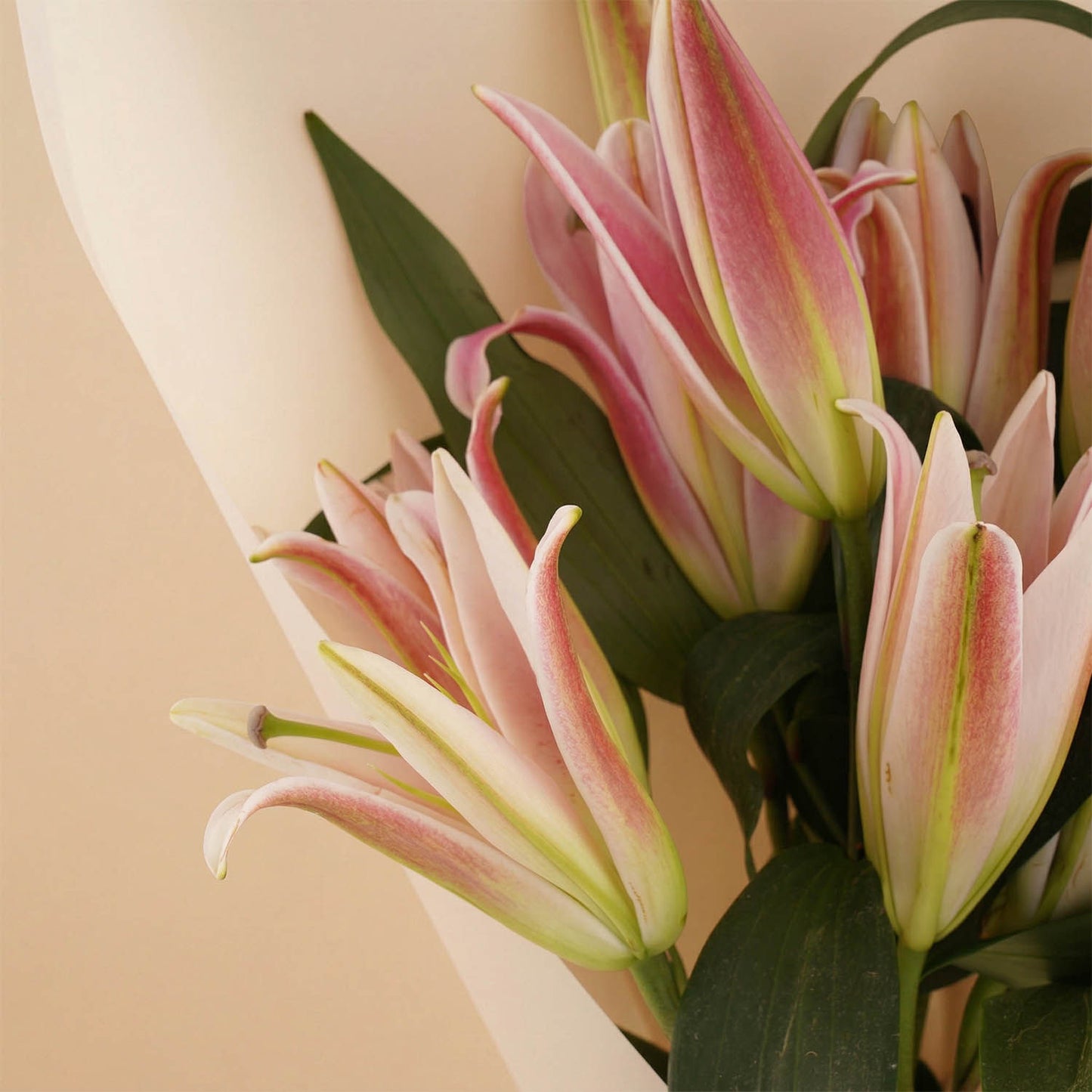 Pink Lilies Flower  Bouquet