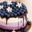 Blueberry Layers Tempting Cake 