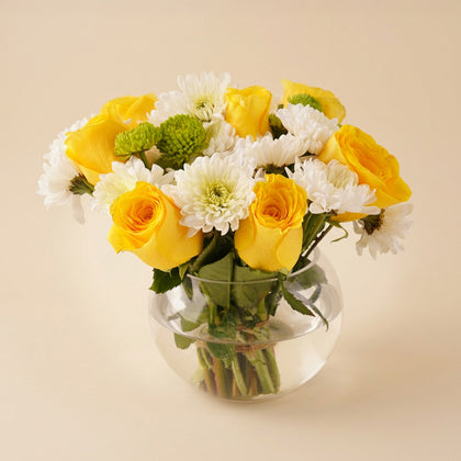 شوكولاتة بستاني عيد الميلاد و مزهرية