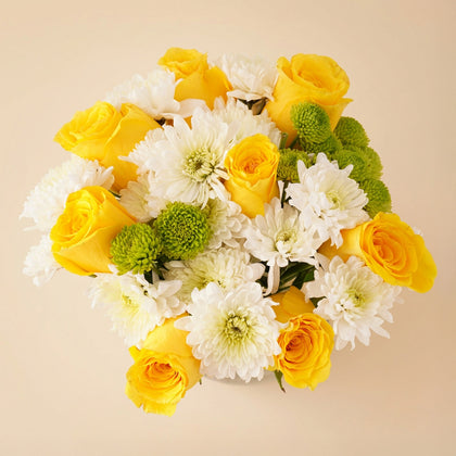 شوكولاتة بستاني عيد الميلاد و مزهرية