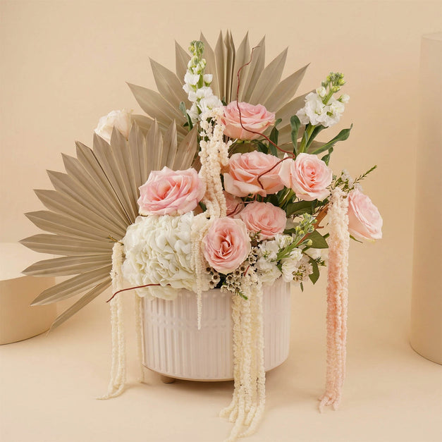 سحر الباستيل الناعم