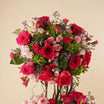 Opulent Pink Crown Flowers - Premium