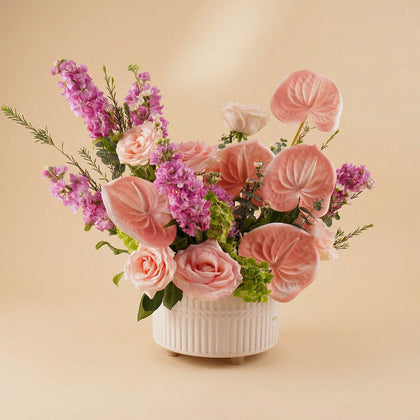 سيمفونية الأنثوريوم الناعم