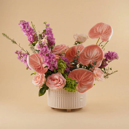 سيمفونية الأنثوريوم الناعم