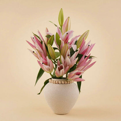 مزهرية لي لي وردية ملكية