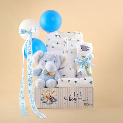 سلة تهنئة بالمولود الجديد