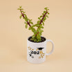 Graduation Plant in Mug