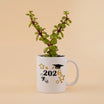 Graduation Plant in Mug