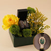 Cerruti 1881 Lerici Watch for Her Bloom Box