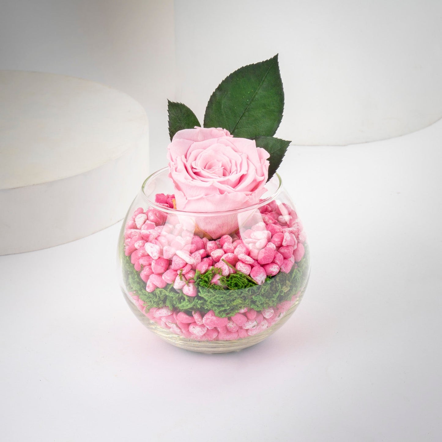  Forever Pink Rose Fish Bowl