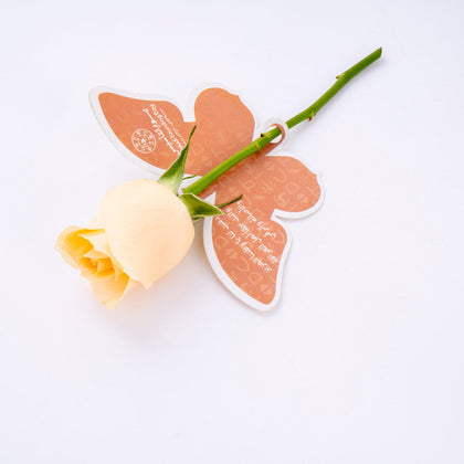 وردة يوم التأسيس السعودي