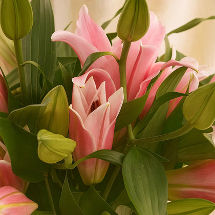 منتهى الجمال | مزهرية ورد لي لي