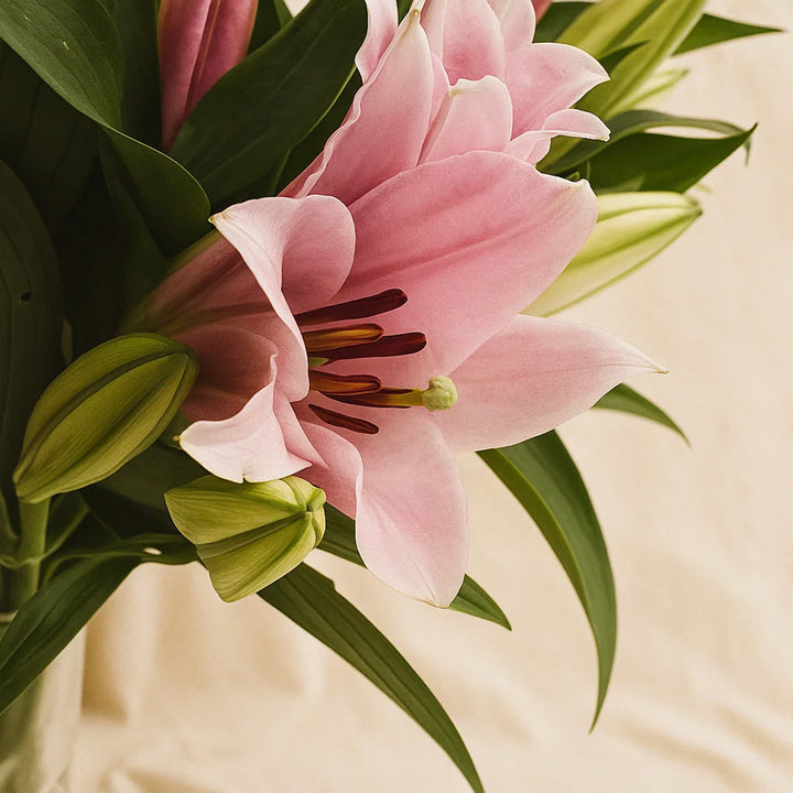 Timeless Beauty Lily Flower Crystal Vase