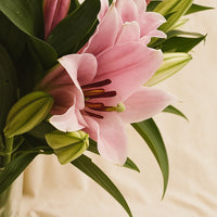 Timeless Beauty Lily Flower Crystal Vase