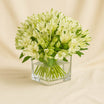 White Alstroemeria 30 In Vase