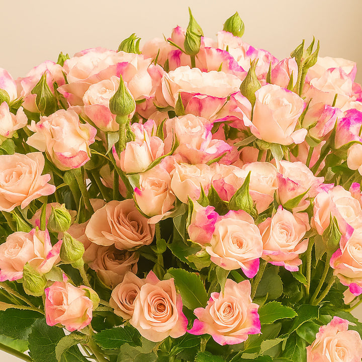 Beautiful 15  Peach Baby  Roses Bouquet 