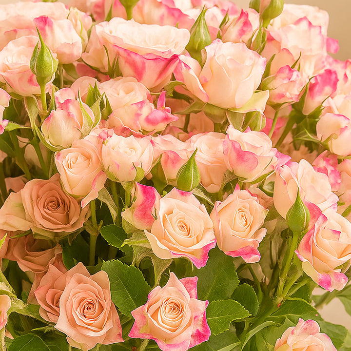 Beautiful 15  Peach Baby  Roses Bouquet 