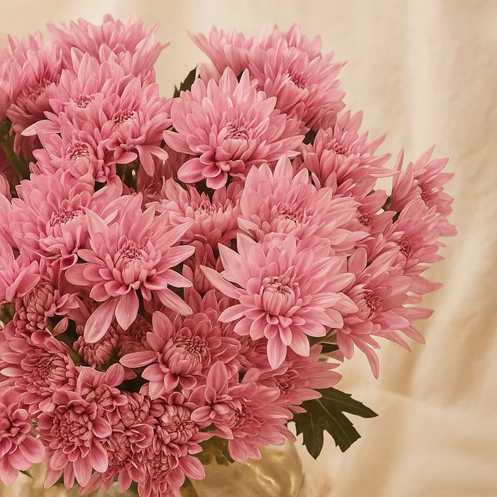 مزهرية ورد اقحوان راقية