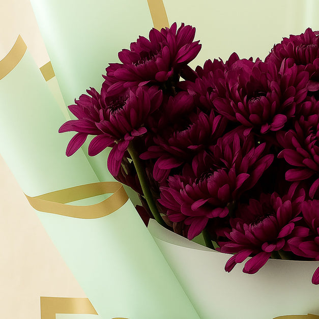 Burgundy Daisy Green Wrap Bouquet