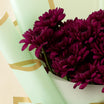 Burgundy Daisy Green Wrap Bouquet
